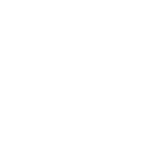 AI Nation